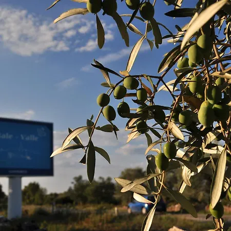 Ostrea *** Appartement *