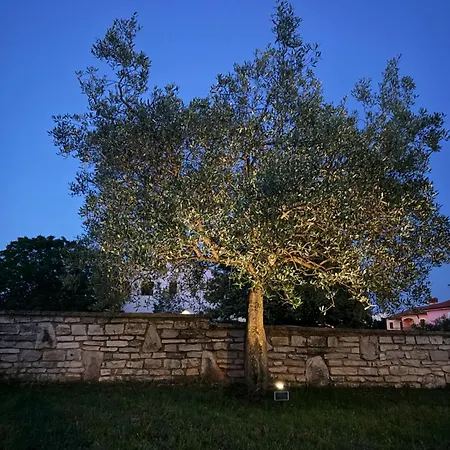 Appartement Ostrea ***