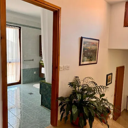 Ostrea *** Apartment *