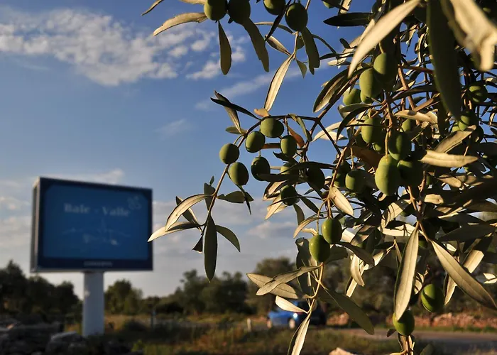 Ostrea *** Apartman *